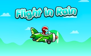 Image Flight in Rain