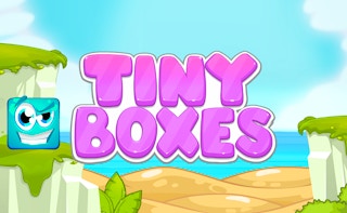 Image Tiny Boxes